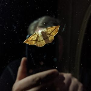 Meet your Posher, Erica